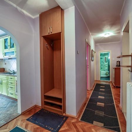 Lux Apartman Cvetkovic 克拉列沃 外观 照片